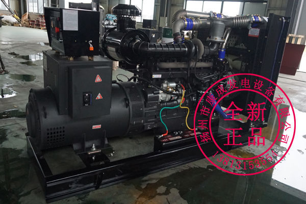 上柴發(fā)電機(jī)圖片/上柴發(fā)電機(jī)樣板圖 (2)