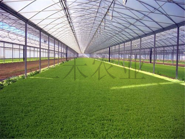 壽光養(yǎng)殖大棚廠家圖片