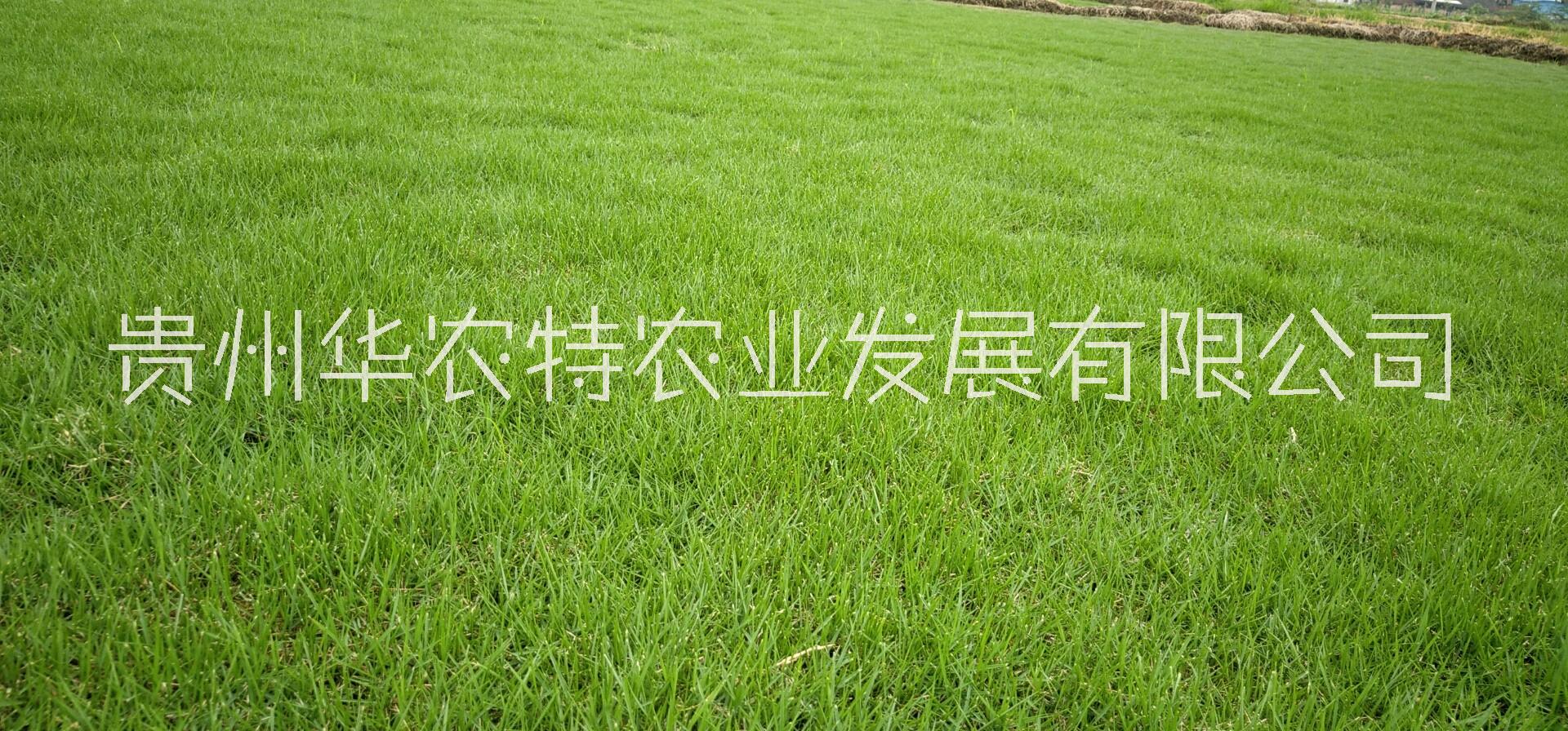 清鎮(zhèn)圖片/清鎮(zhèn)樣板圖 (2)