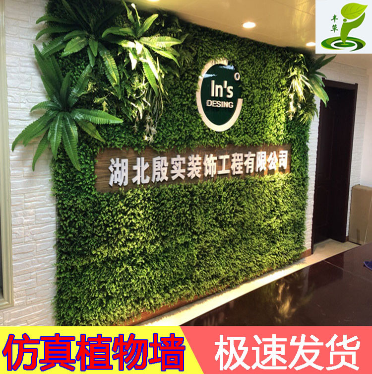 仿真植物圖片/仿真植物樣板圖 (1)
