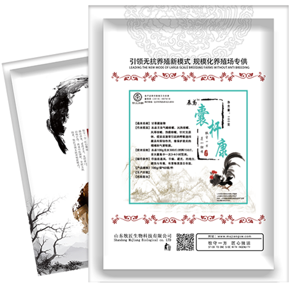肉雞氣囊炎圖片/肉雞氣囊炎樣板圖 (2)