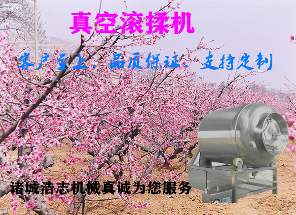 全自動真空滾揉機(jī) 肉類腌制機(jī)  變頻真空滾揉機(jī)，牛羊肉入味機(jī)