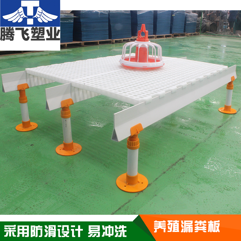 塑料漏糞板圖片/塑料漏糞板樣板圖 (4)