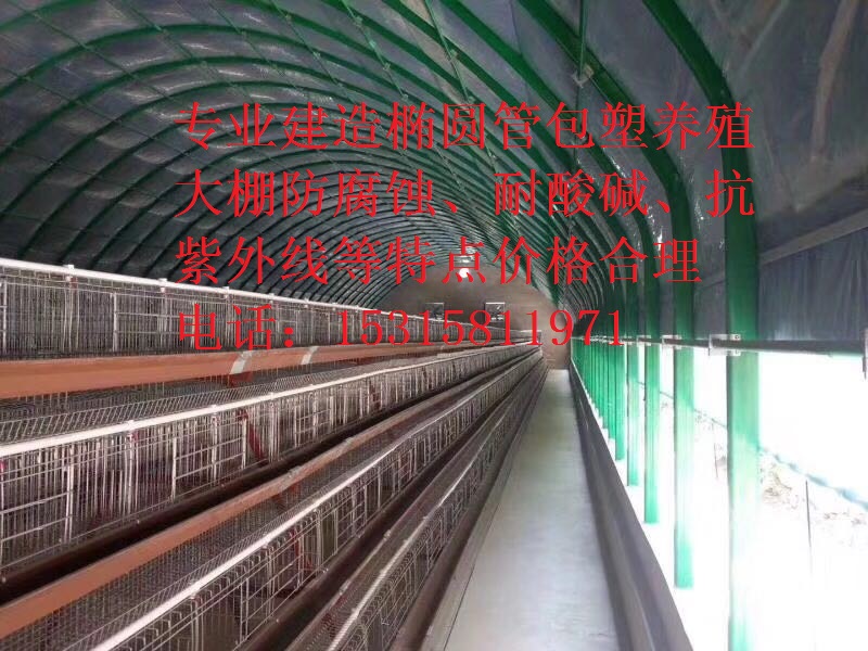 連棟溫室雞棚 農(nóng)業(yè)溫室大棚圖片/連棟溫室雞棚 農(nóng)業(yè)溫室大棚樣板圖 (2)