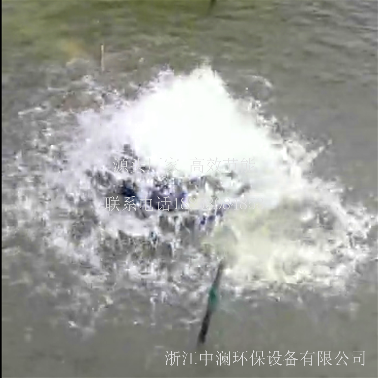 涌泉曝氣機(jī)圖片/涌泉曝氣機(jī)樣板圖 (2)