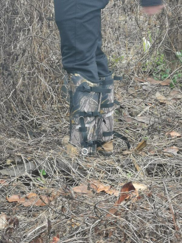 護(hù)腿圖片/護(hù)腿樣板圖 (4)