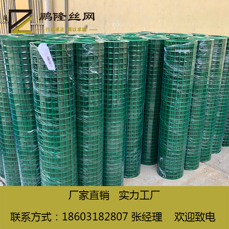 荷蘭網(wǎng)圖片