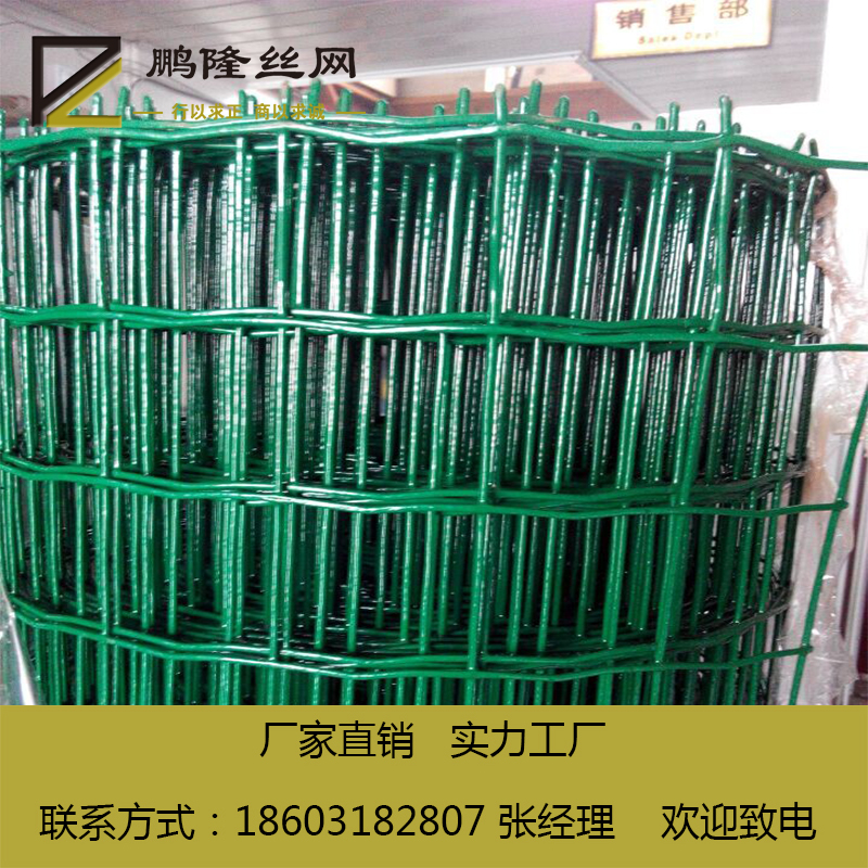 波浪網(wǎng)荷蘭網(wǎng)圖片/波浪網(wǎng)荷蘭網(wǎng)樣板圖 (2)