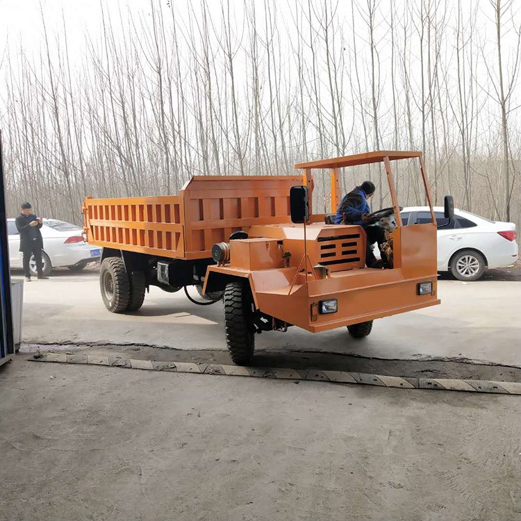 四驅(qū)四不像車廠家圖片/四驅(qū)四不像車廠家樣板圖 (3)