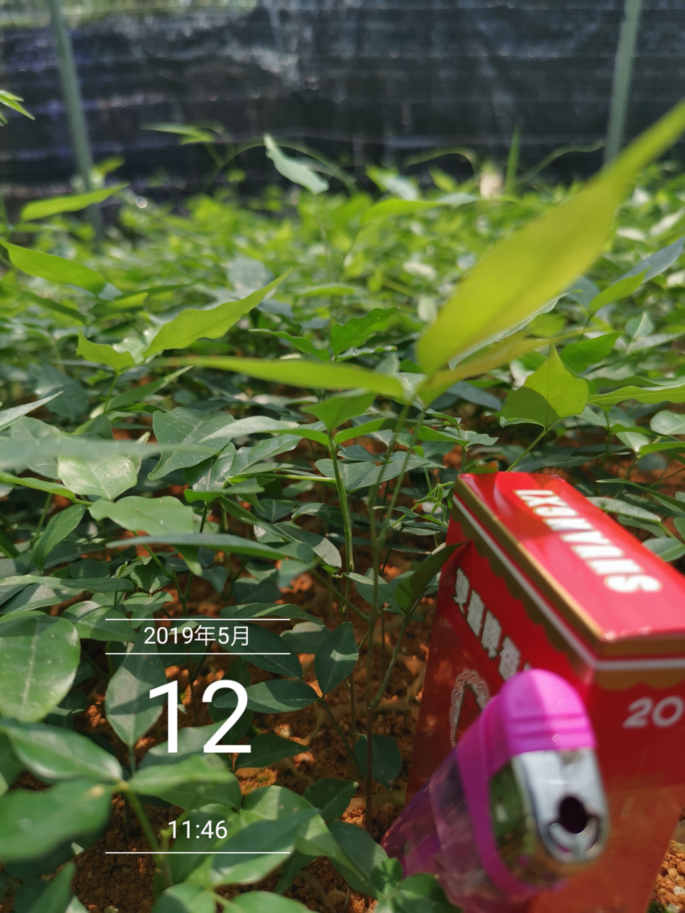 廣東云浮圖片/廣東云浮樣板圖 (2)