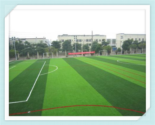 草坪網圖片/草坪網樣板圖 (4)