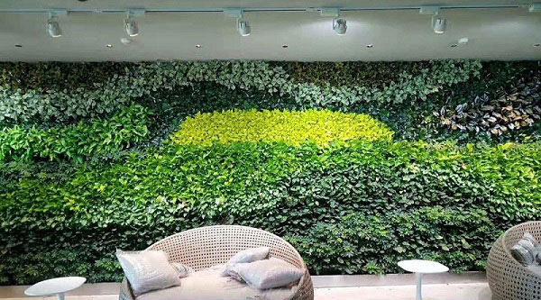 仿真植物圖片/仿真植物樣板圖 (3)