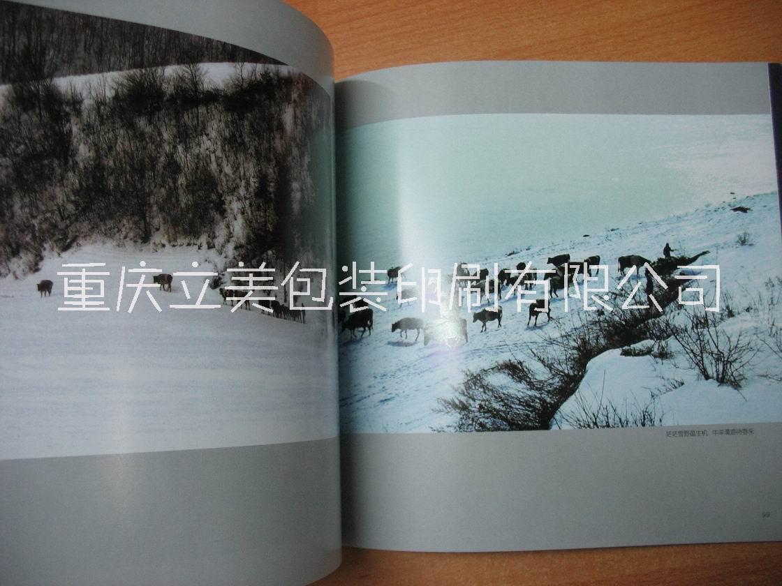 重慶攝影宣傳冊印刷圖片/重慶攝影宣傳冊印刷樣板圖 (3)