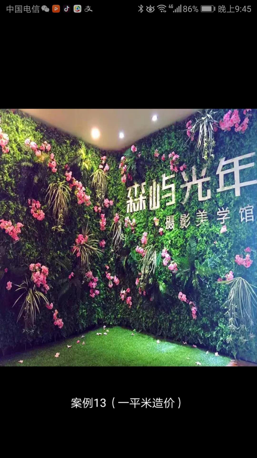仿真植物墻安裝圖片