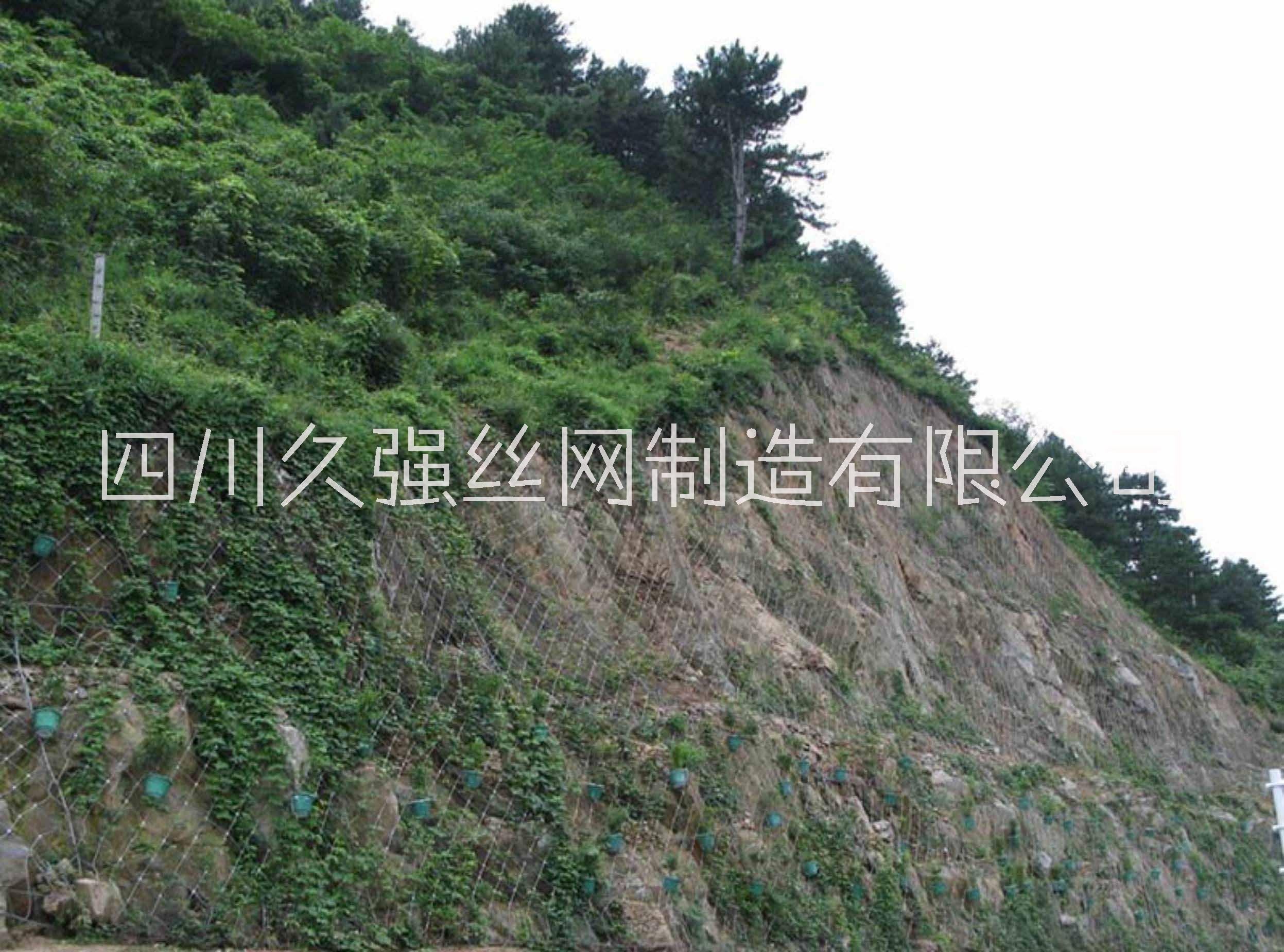GPS2主動網(wǎng)圖片/GPS2主動網(wǎng)樣板圖 (3)