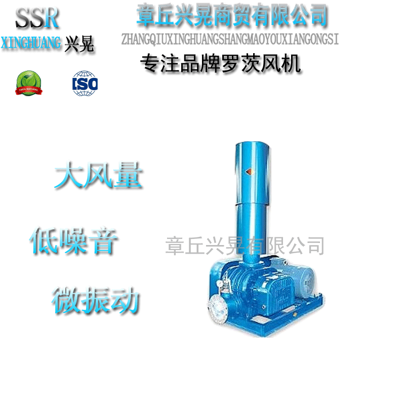 济南市山东章晃SSR罗茨风机选型维修厂家