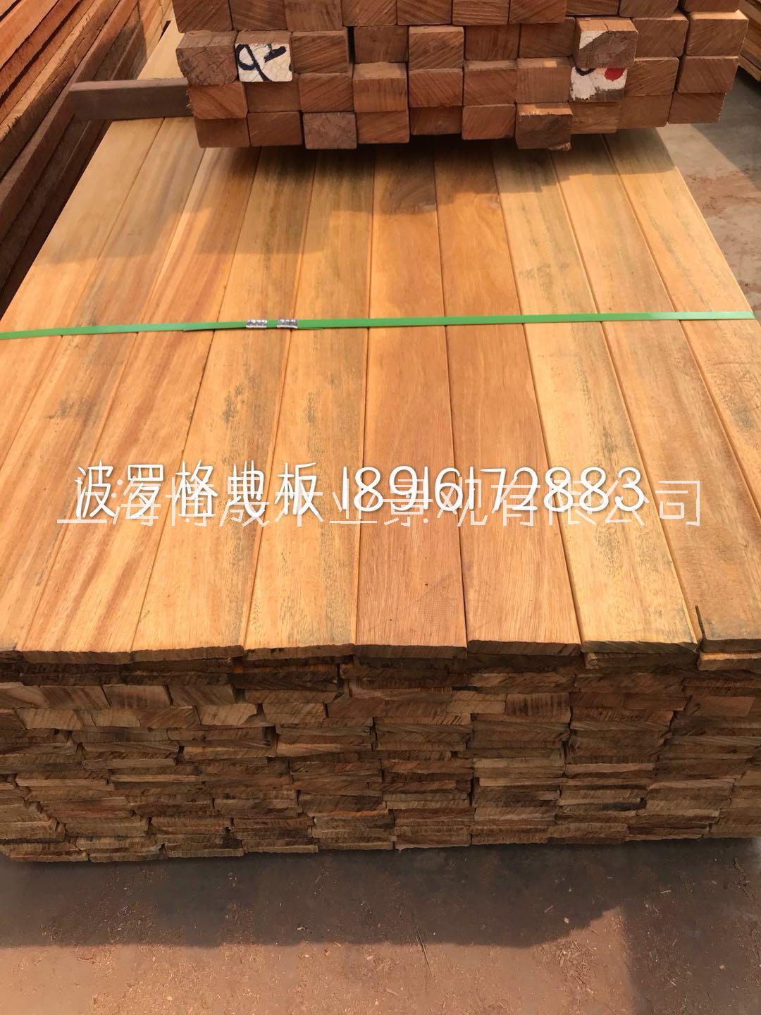 塔利 菠蘿格 非洲菠蘿格 印尼菠蘿格