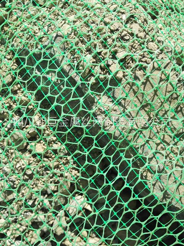 植被網(wǎng)圖片/植被網(wǎng)樣板圖 (4)