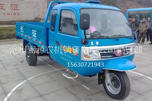 五征三輪車圖片圖片/五征三輪車圖片樣板圖 (3)