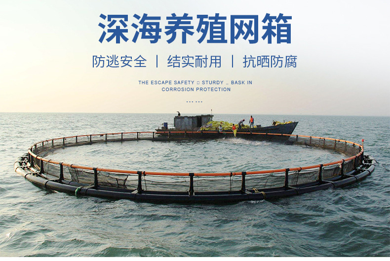 深海抗風浪網(wǎng)箱價格、批發(fā)、定做、供應商【湖南鑫海股份有限公司】