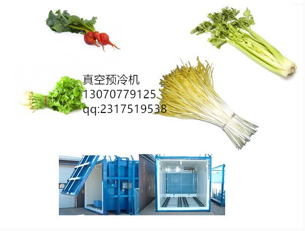 真空預(yù)冷機(jī)圖片/真空預(yù)冷機(jī)樣板圖 (4)