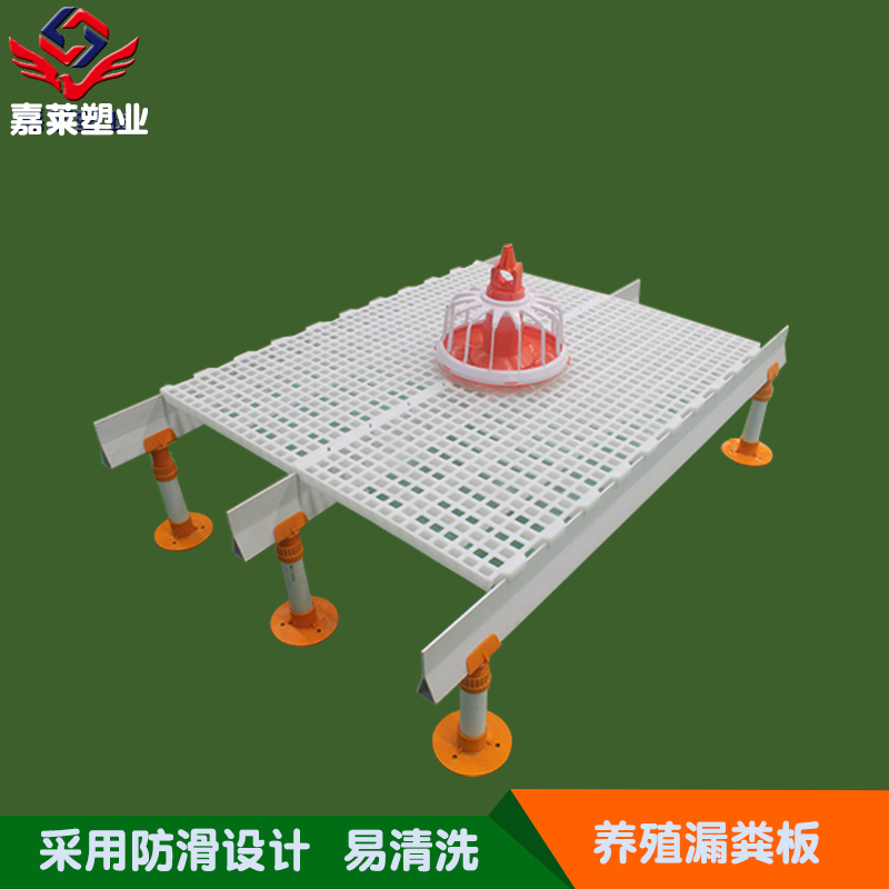 雞漏糞板圖片/雞漏糞板樣板圖 (4)