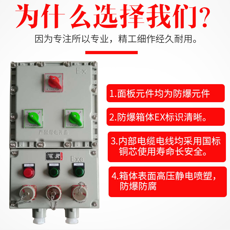防爆配電箱cbp51圖片/防爆配電箱cbp51樣板圖 (2)