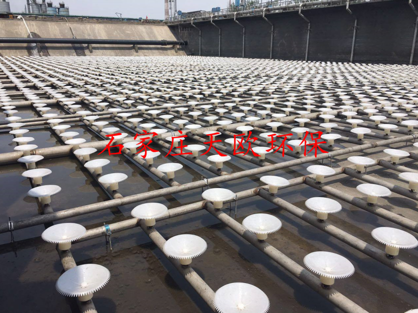 曝氣器圖片/曝氣器樣板圖 (4)