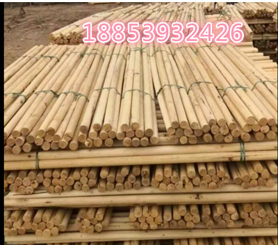 園林必備楊木綠化桿圖片/園林必備楊木綠化桿樣板圖 (3)