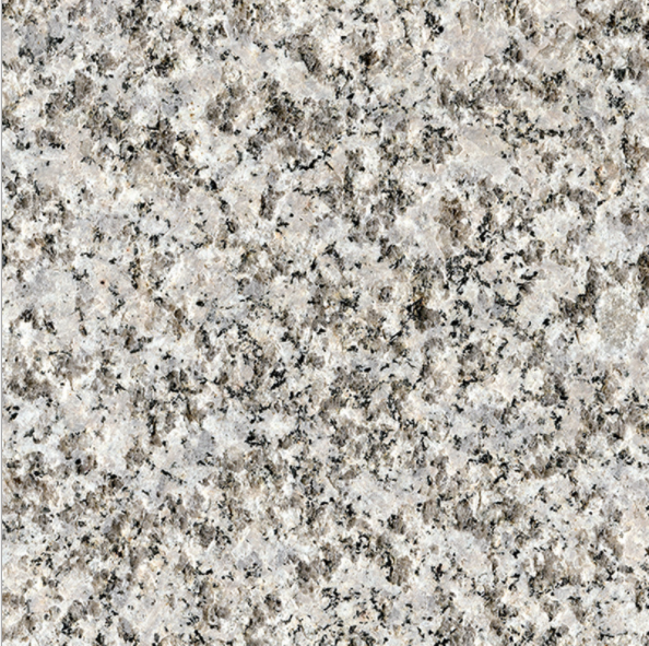 芝麻白圖片/芝麻白樣板圖 (1)