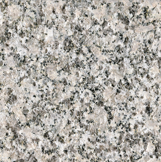 芙蓉白圖片/芙蓉白樣板圖 (2)