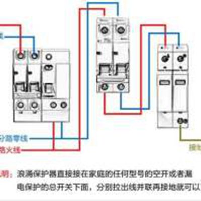 西岱爾圖片/西岱爾樣板圖 (1)