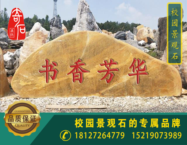 校園景觀石圖片