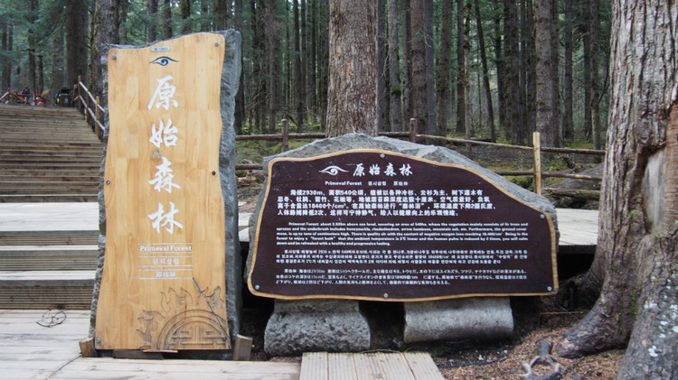 蘭州地產(chǎn)商業(yè)精神堡壘制作、標識牌制作