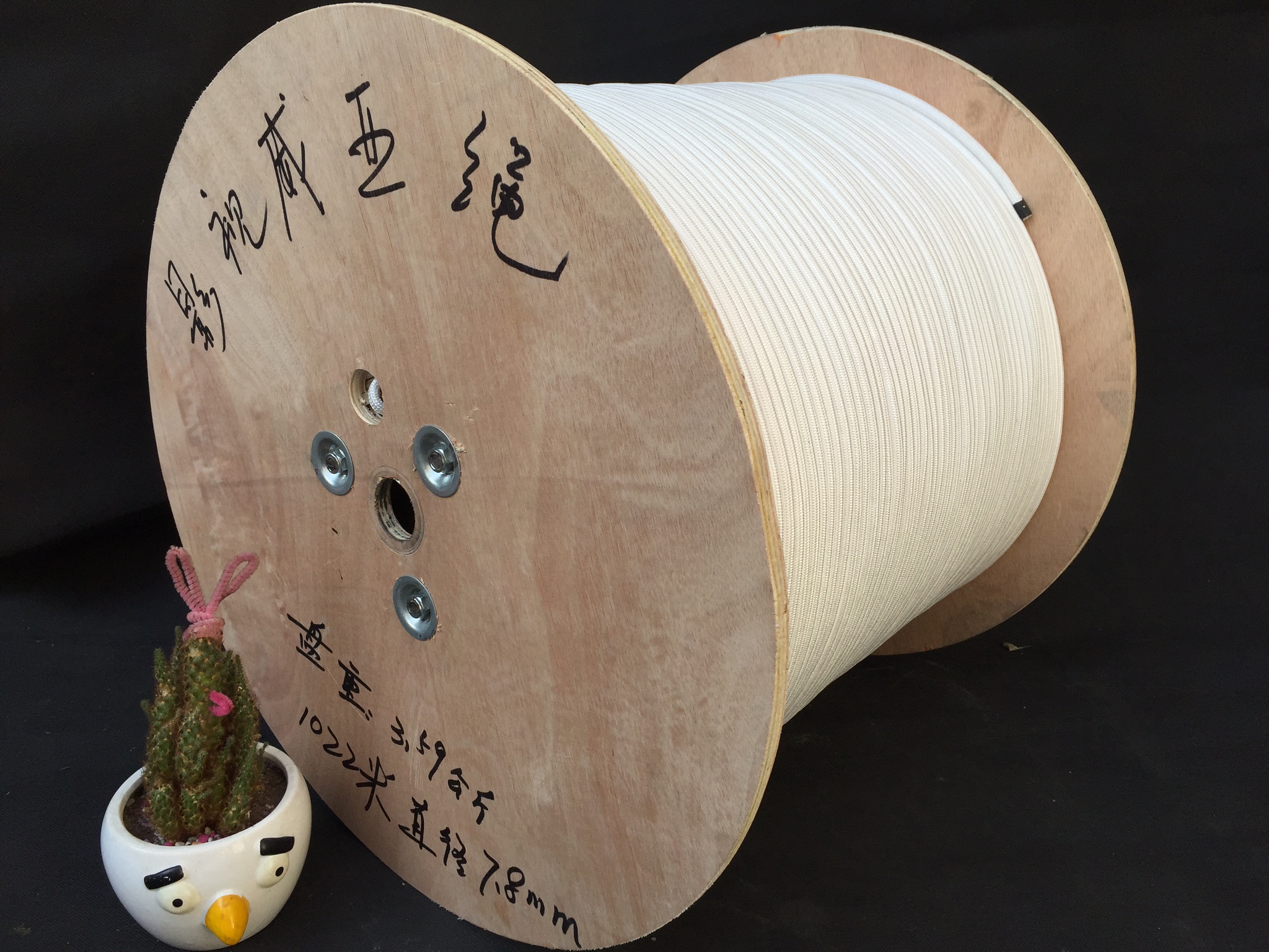 吊威亞繩圖片/吊威亞繩樣板圖 (4)