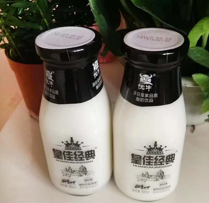 皇佳經(jīng)典玻璃瓶飲料廠家 皇佳經(jīng)典禮盒裝300ml*15網(wǎng)紅早餐學(xué)生益生菌酸奶飲品 益生菌酸奶飲品批發(fā)