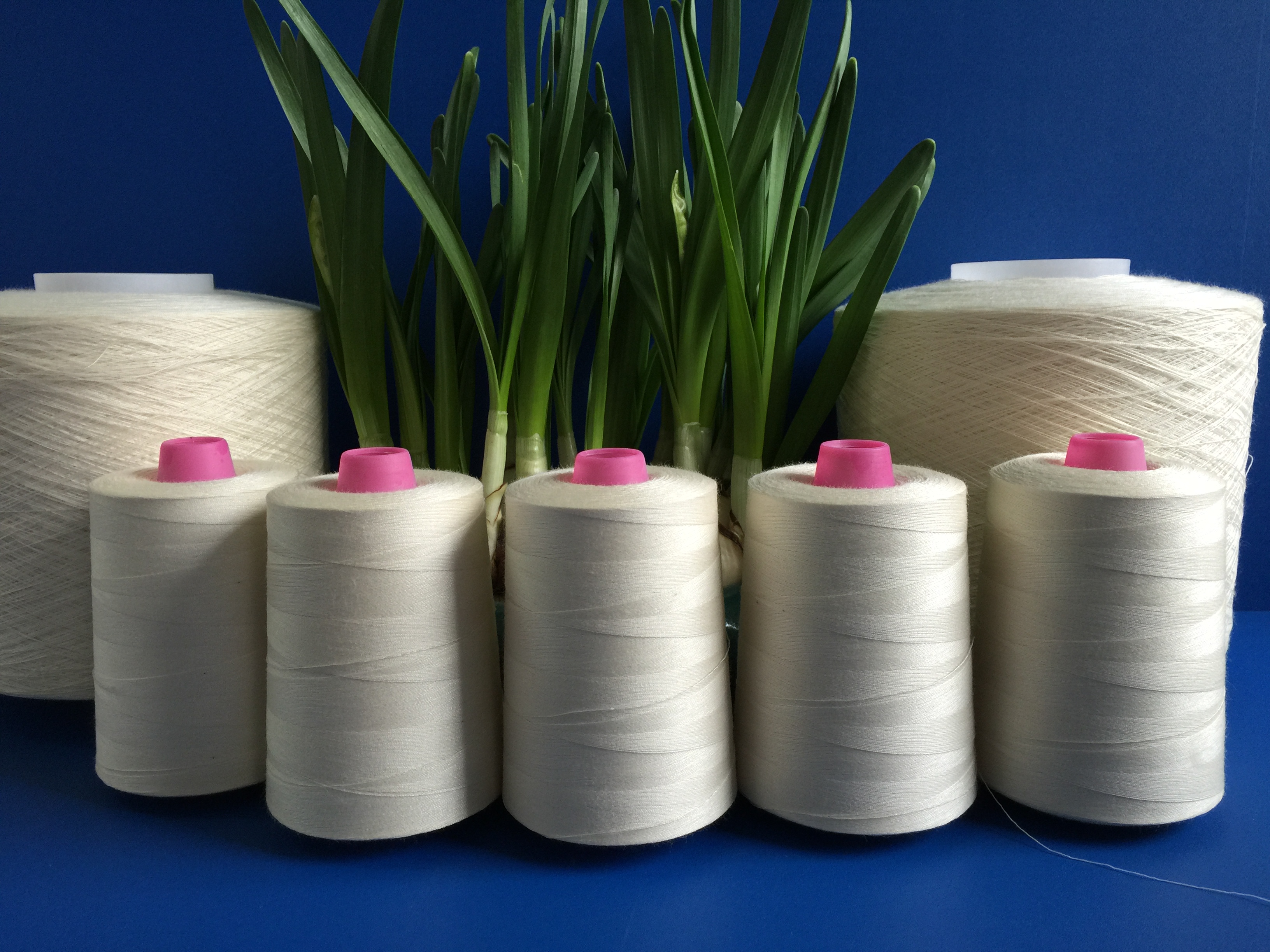 鎖線圖片/鎖線樣板圖 (1)