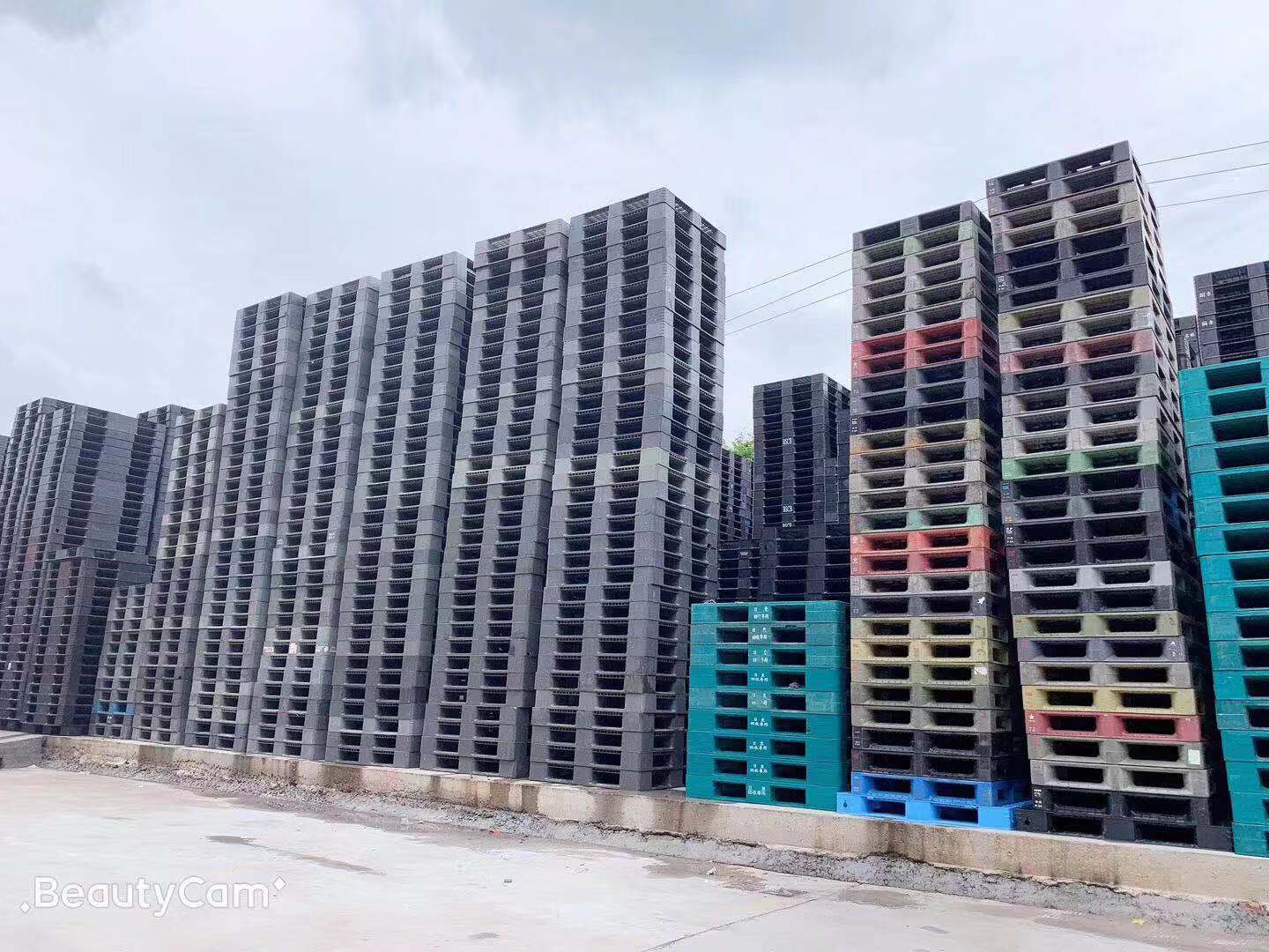 深圳二手日本托盤  韓國進口塑膠卡板廠家直銷 二手日本卡板銷售回收報價電話