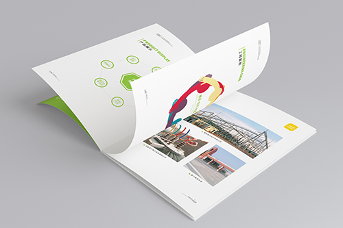 畫(huà)冊(cè)印刷圖片/畫(huà)冊(cè)印刷樣板圖 (2)