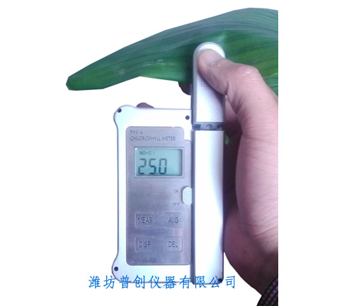 葉綠素檢測儀圖片