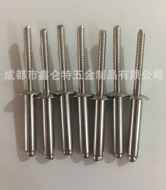 供應(yīng)大量不銹鋼抽芯鉚釘6.4系列圖片/供應(yīng)大量不銹鋼抽芯鉚釘6.4系列樣板圖 (2)