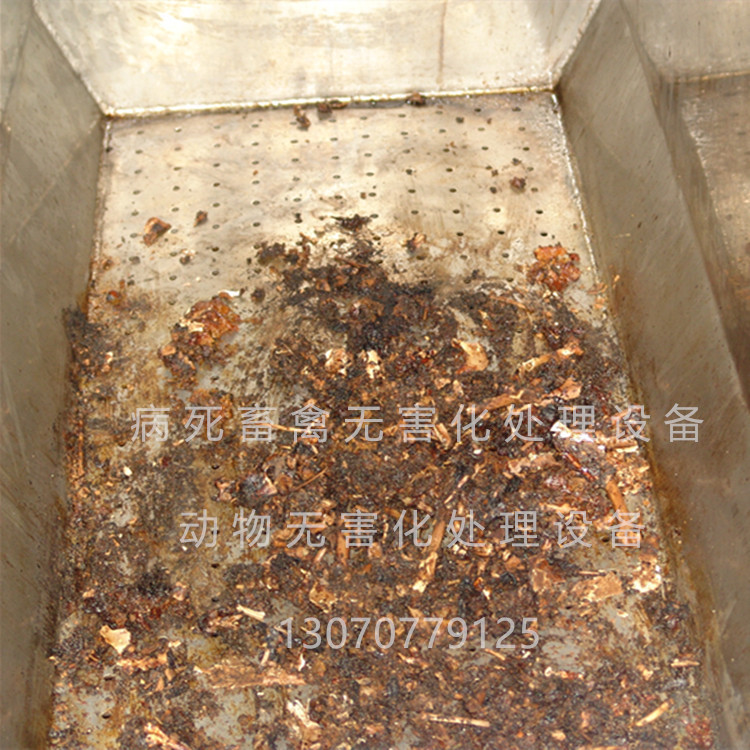 雞鴨鵝無害化處理設(shè)備 廠家直銷圖片