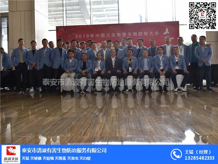 泰安滅蟑螂圖片/泰安滅蟑螂樣板圖 (4)