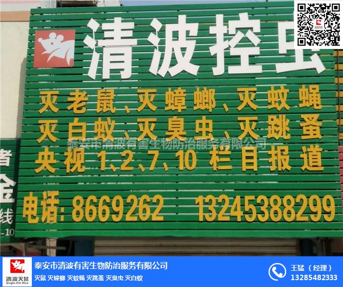 泰安清波泰安養(yǎng)豬場(chǎng)專業(yè)滅老鼠等