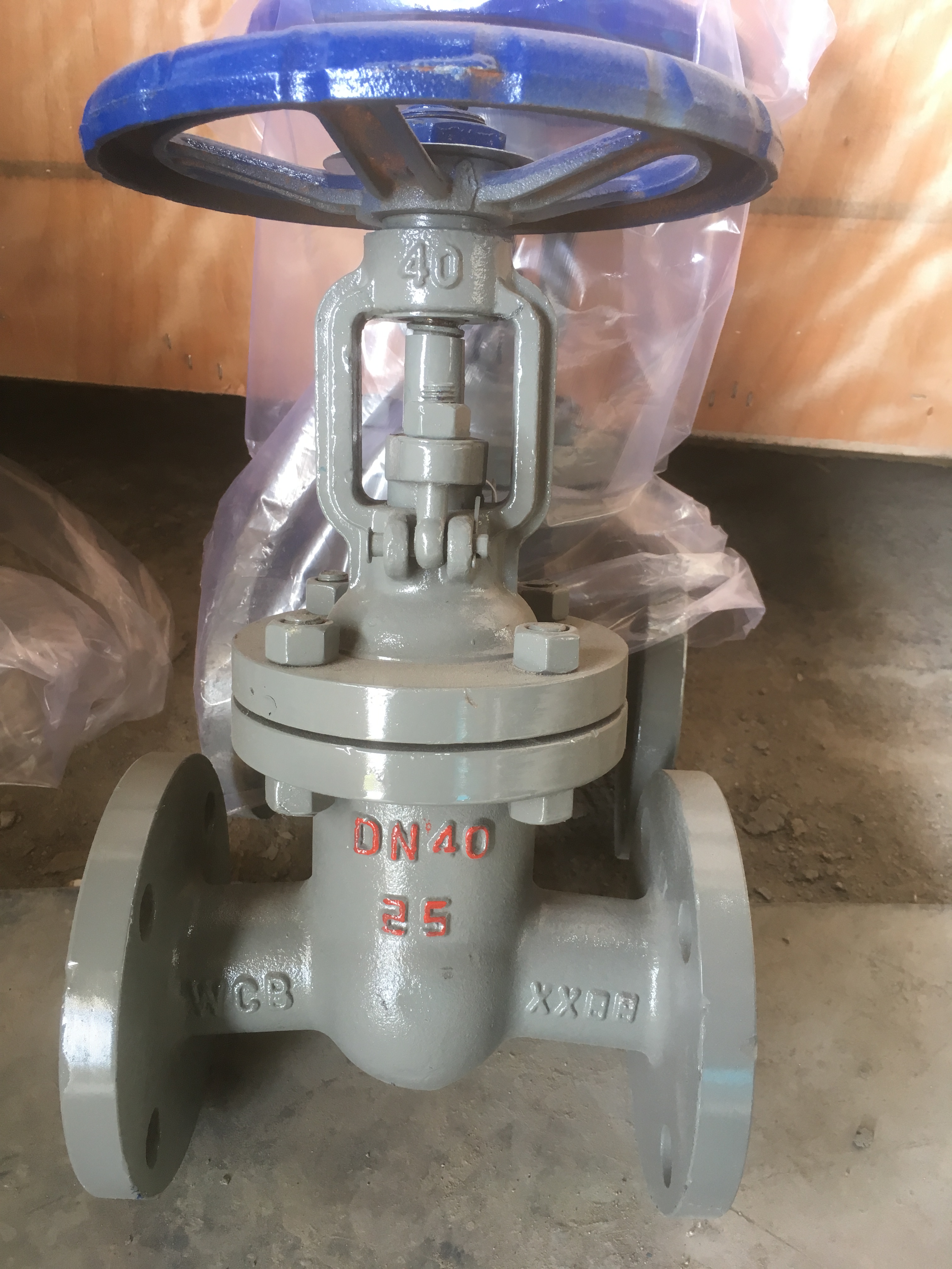 鑄鋼閘閥圖片/鑄鋼閘閥樣板圖 (1)