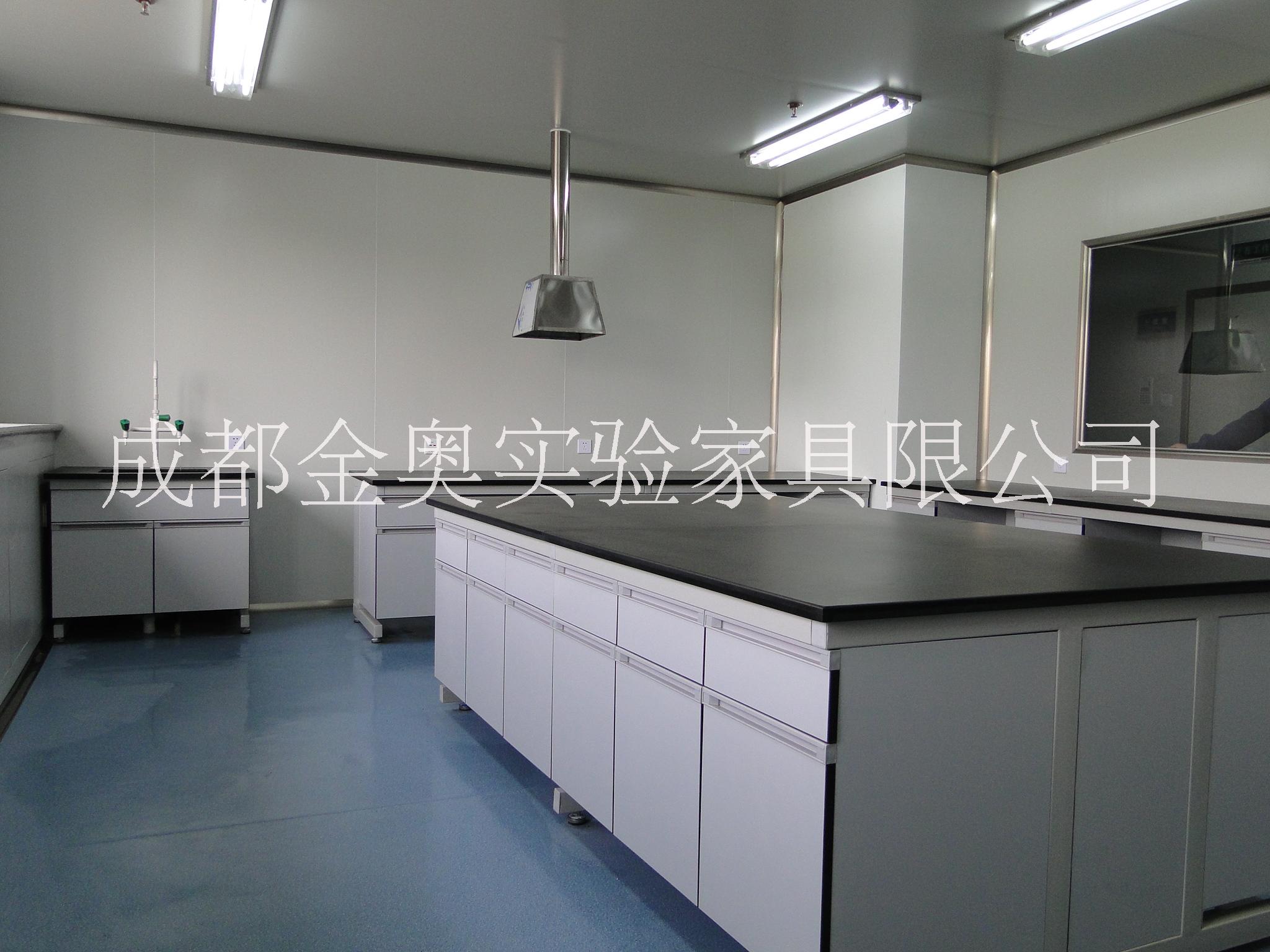 四川實(shí)驗(yàn)臺(tái)臺(tái)面  實(shí)驗(yàn)設(shè)備   實(shí)驗(yàn)室配件   實(shí)驗(yàn)家具價(jià)格咨詢 成都實(shí)驗(yàn)室家具定制