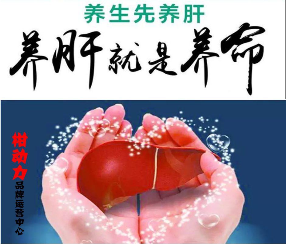 養(yǎng)肝護(hù)肝的知識(shí)；養(yǎng)肝就是養(yǎng)命