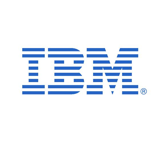 IBM 300GB 10K 6Gbps SAS 2.5