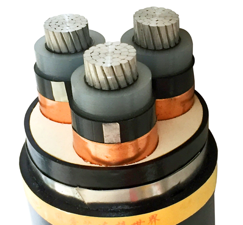 交聯(lián)電纜圖片/交聯(lián)電纜樣板圖 (2)