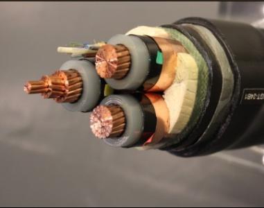 交聯(lián)電纜圖片/交聯(lián)電纜樣板圖 (4)